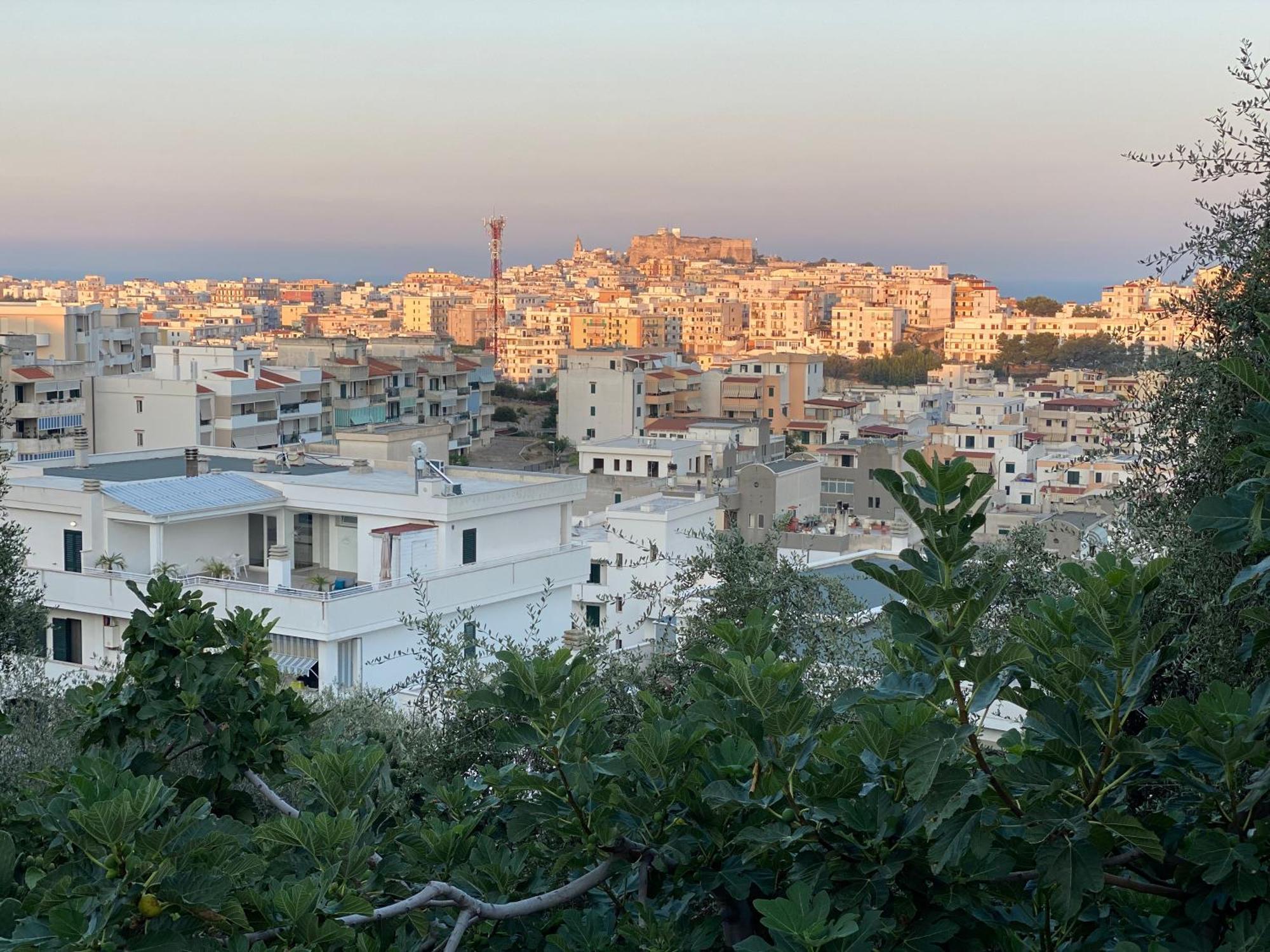 Coliving Together Gargano Vieste Dış mekan fotoğraf