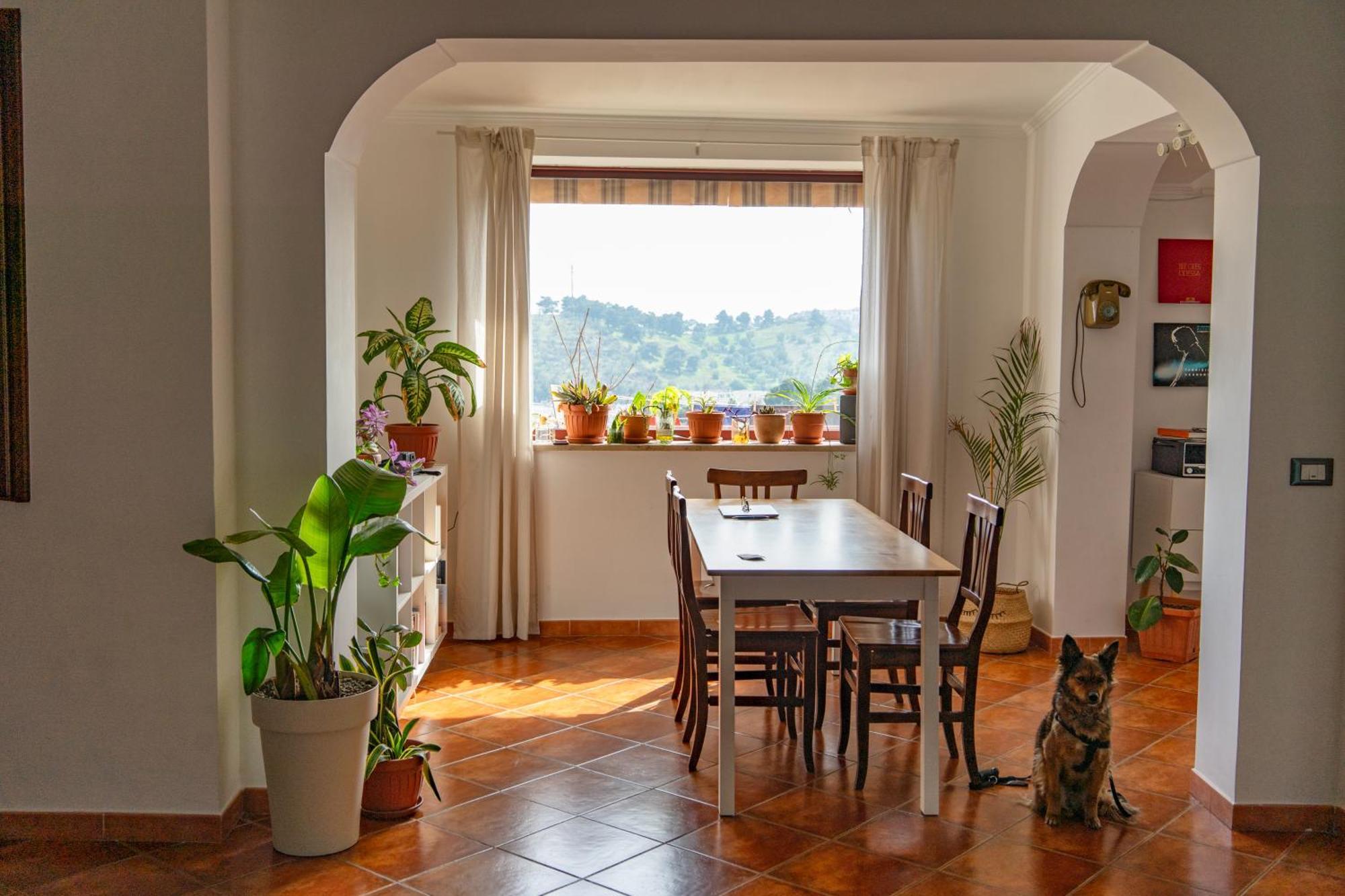 Coliving Together Gargano Vieste Dış mekan fotoğraf