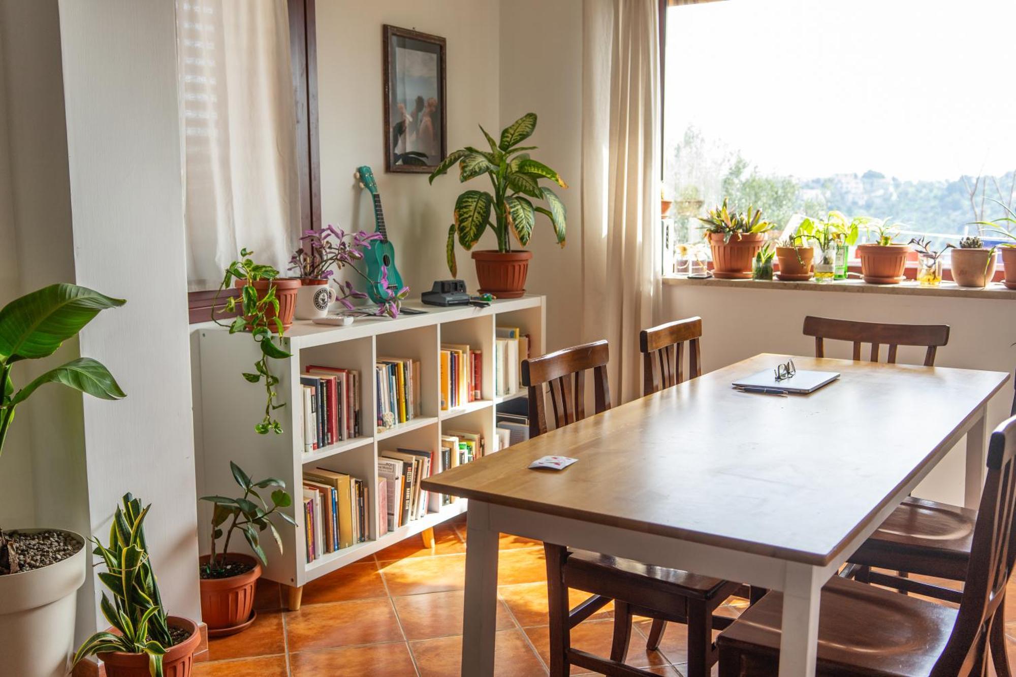 Coliving Together Gargano Vieste Dış mekan fotoğraf